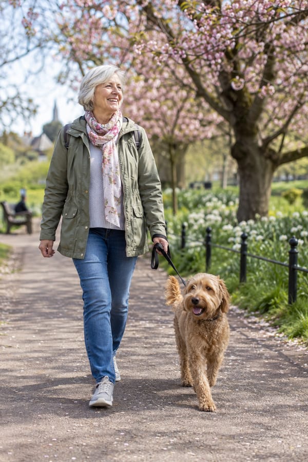 Older woman walking her dog in a park in spring